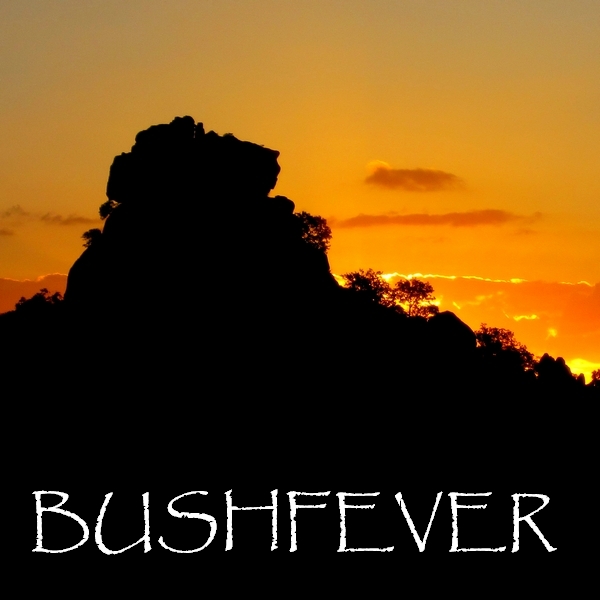 Sealene Kopje. Phalaborwa. Sealene. Bushfever. Jo Fankhauser Wildlife Photography. South Africa.