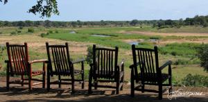 Letaba Chairs 2010 2x1